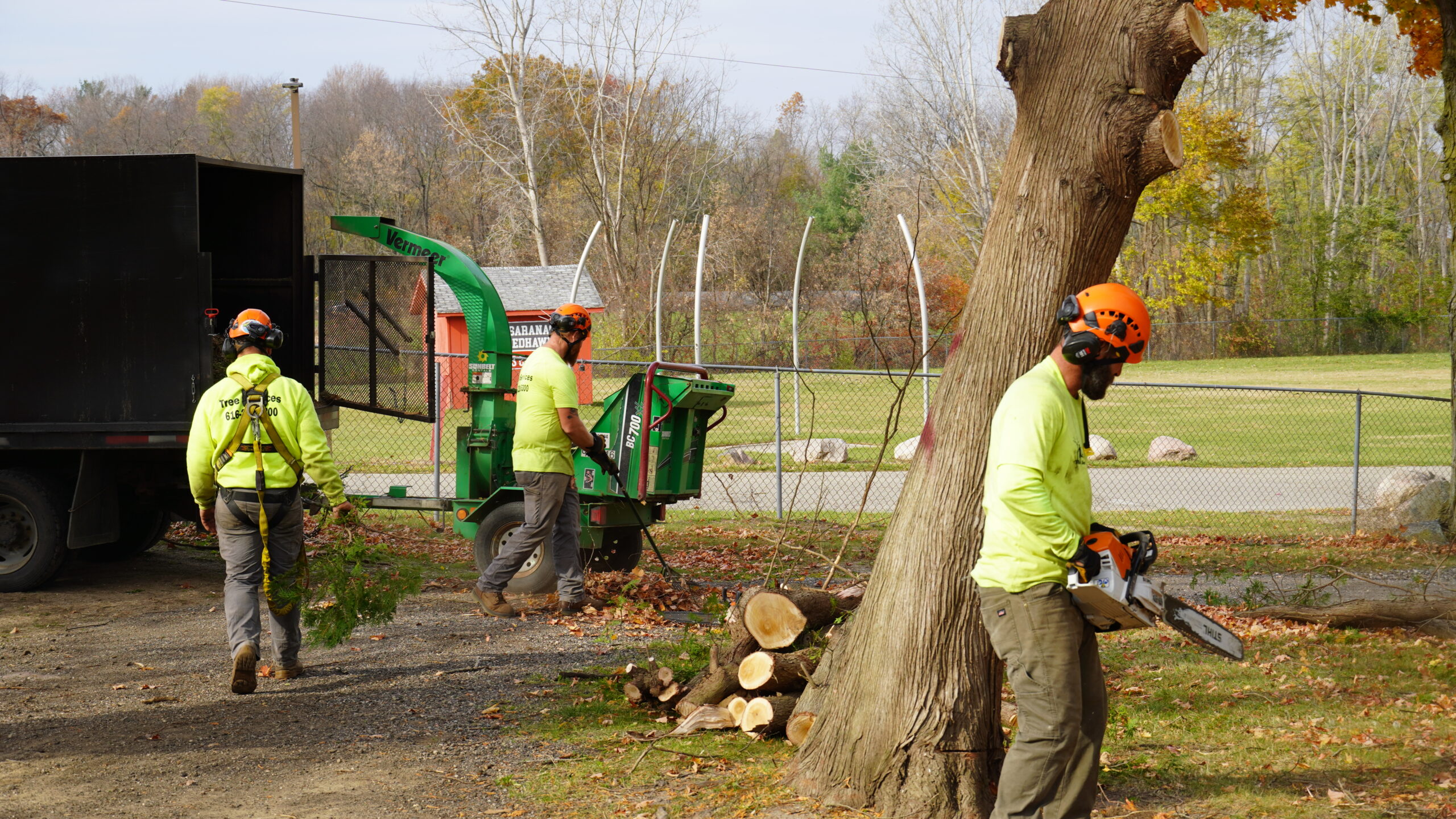 Read more about the article 1500% Increase in Efficiency: A Case Study on Ole Man RB’s Tree Service